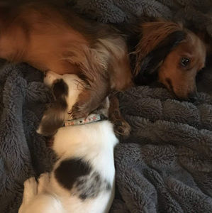 Meet your Posher, Karly